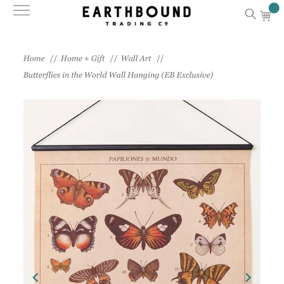 Earthbound butterflies in the world wall hanging - Picture 3 of 4